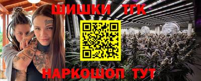 гашик Волжский