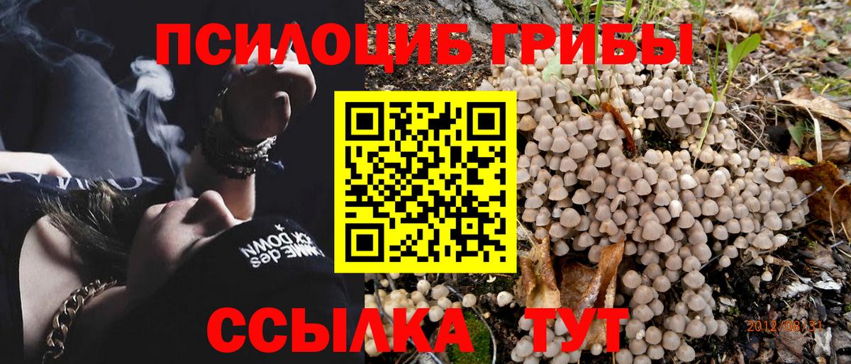 Галлюциногенные грибы мицелий  Галлюциногенные грибы мухоморы  Вход с VPN  Нефтекумск 