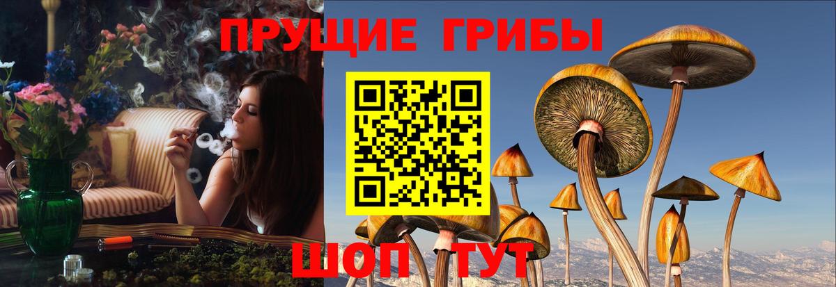 Галлюциногенные грибы прущие грибы Нефтекумск